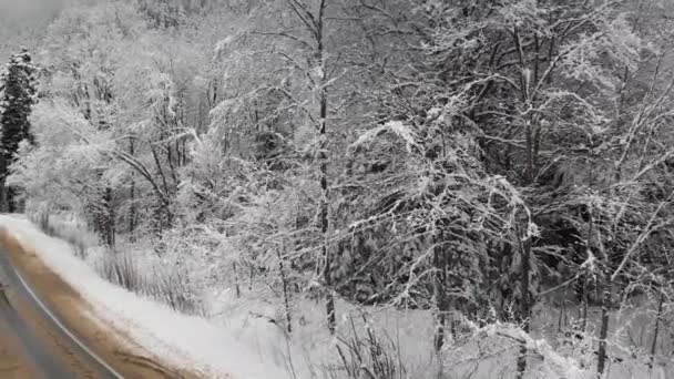 阴天冬日森林中道路的鸟图 在北高加索一个山谷的雪中 一条美丽的冬路 在云杉和松树的性质中 俄罗斯 — 图库视频影像