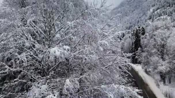 Vista aérea de una carretera en un bosque de invierno en un día nublado. Un hermoso camino de invierno entre la naturaleza de abeto y pino en la nieve de un valle de montaña en el norte del Cáucaso. Rusia — Vídeos de Stock