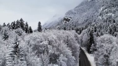 Bulutlu bir günde havadan görünümü bir kış ormandaki bir yol. Ladin ve çam bir dağ vadinin Kuzey Kafkasya'da karda doğa arasında bir güzel kış yol. Rusya