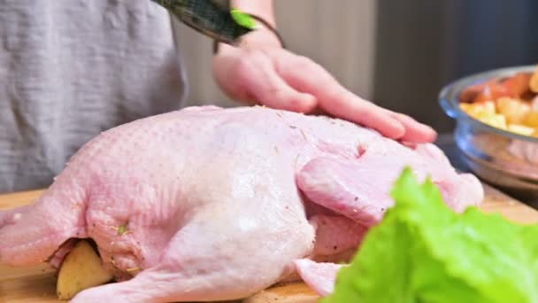 Close-up preparation of duck or goose for baking. Sprinkle the raw carcass with spices and salt. Christmas dish duck goose with apples — Stock Video