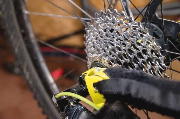 Close-up View of the bike in repair. Gear cassette close-up. Crafting service for mountain bikes. Repair guide for your site.