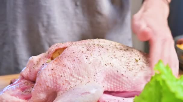 Detail Příprava kachní nebo husí na pečení. Posypte syrové kostry s kořením a solí. Vánoční pokrm kachna Husa s jablky — Stock video