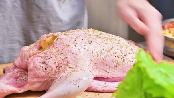 Pişirme kaz ve ördek yakın çekim hazırlığı. Ham karkas baharatlar ve tuz serpin. Elma ile Noel yemeği ördek kaz — Stok video