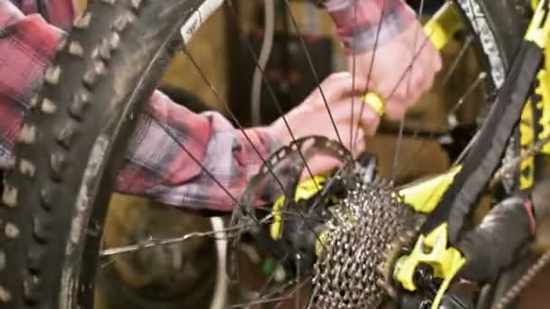 Primer plano en un taller de reparación de bicicletas, un maestro retira una rueda para el mantenimiento. Reparación de bicicletas — Vídeo de stock