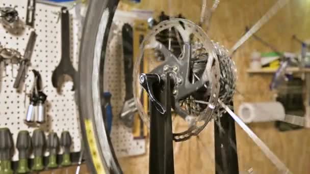 Close-up of mens hands with a specialized wrench on a stand in the workshop tightening the spokes of the wheel eliminating the beating of the rim — Stock Video