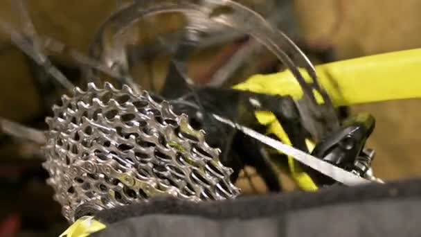 La rueda de acercamiento gira en un soporte con un disco de freno en un taller de reparación de bicicletas. Reparación de bicicletas — Vídeo de stock