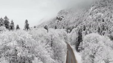 Bulutlu bir günde havadan görünümü bir kış ormandaki bir yol. Ladin ve çam bir dağ vadinin Kuzey Kafkasya'da karda doğa arasında bir güzel kış yol. Rusya