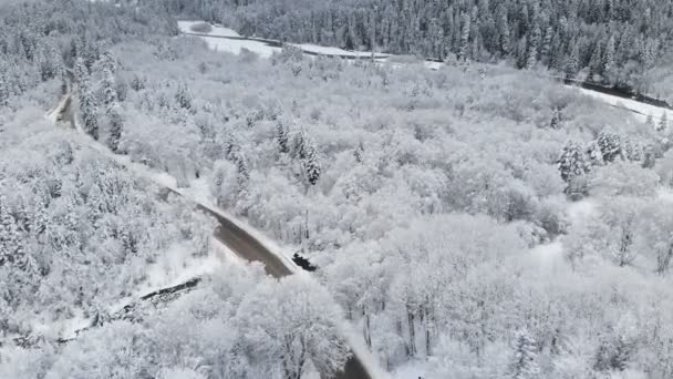 Вид с воздуха на дорогу в зимнем лесу в облачный день. Красивая зимняя дорога среди природы ели и сосны в снегу горной долины на Северном Кавказе. Россия — стоковое видео