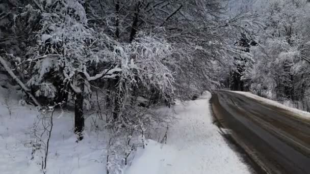 Vista aérea de una carretera en un bosque de invierno en un día nublado. Un hermoso camino de invierno entre la naturaleza de abeto y pino en la nieve de un valle de montaña en el norte del Cáucaso. Rusia — Vídeos de Stock