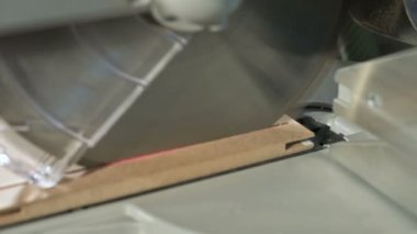 Bir daire testere ile bir makinede çalışan yakın çekim. Ahşap kütük dairesel kesme