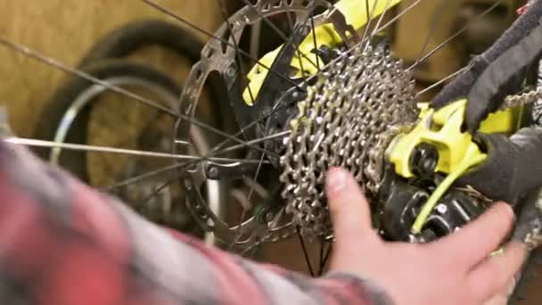 Primer plano en un taller de reparación de bicicletas, un maestro retira una rueda para el mantenimiento. Reparación de bicicletas — Vídeos de Stock