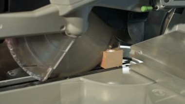 Bir daire testere ile bir makinede çalışan yakın çekim. Ahşap kütük dairesel kesme