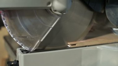 Bir daire testere ile bir makinede çalışan yakın çekim. Ahşap kütük dairesel kesme