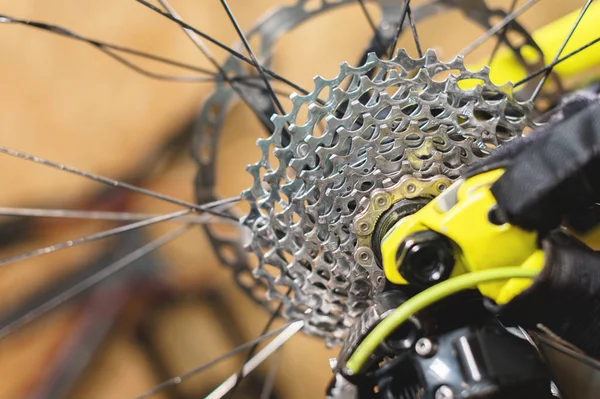 Bisiklet tamir yakın çekim görünümü. Dişli kaset yakın çekim. Dağ bisikleti için servis işçiliği. Siteniz için tamir kılavuzu