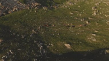 Uçan bir büyük kaya oluşumu ayakta kayalıkbir platonun epik kenarına nın eteklerinde yukarıda. Rusya. Kuzey Kafkasya