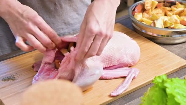 Close-up mãos femininas na cozinha da casa preparando o ganso para assar. Encha o pato com maçãs e frutas. Comida crua. Cozinhar jantar de gala — Vídeo de Stock