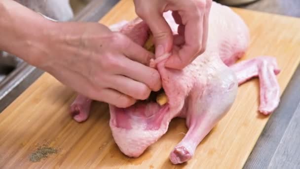 Close-up vrouwelijke handen in de eigen keuken de gans voorbereiding voor het bakken. Spullen de eend met appels en groenten. Rauw voedsel. Galadiner koken — Stockvideo