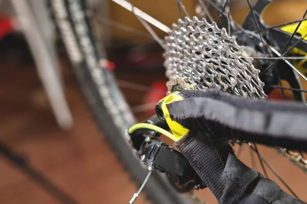 Close-up View of the bike in repair. Gear cassette close-up. Crafting service for mountain bikes. Repair guide for your site