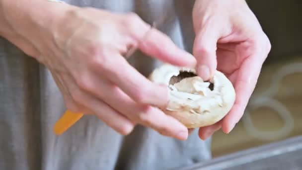 stock video Close-up of female hands of a cook at the home kitchen separates the legs of mushrooms from a white mushroom. Preparation of mushrooms for baking