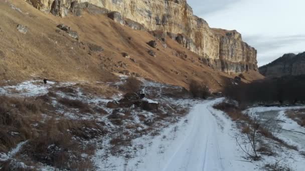 Chica turista en una chaqueta y una gorra camina a lo largo del camino a principios de invierno. Toma una foto en el teléfono inteligente rocas épicas en el desfiladero. Vista aérea — Vídeo de stock