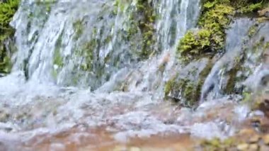 Yakın çekim yavaş art arda sıralı akış yeşil ve taşlaşmış moss tarafından çevrili. Dağ su yüksek mineral içeriği