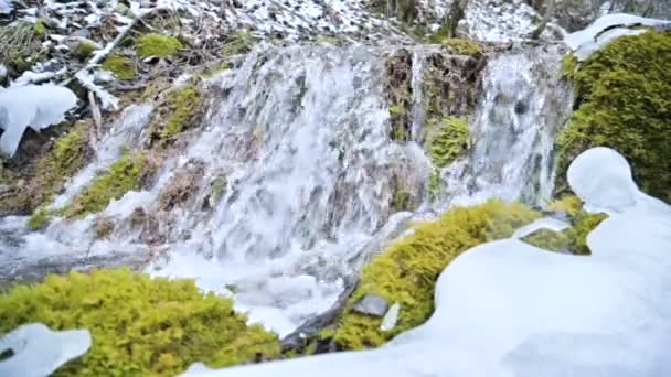 Nahaufnahme Zeitlupe Kaskadenstrom, umgeben von grünem und versteinertem Moos. hoher Mineralstoffgehalt im Bergwasser — Stockvideo