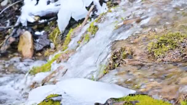Γκρο πλαν αργή κίνηση ροή καταρράκτη περιβάλλεται από πράσινο και απολιθωμένο βρύα. Υψηλή περιεκτικότητα σε ανόργανα άλατα στο νερό του βουνού — Αρχείο Βίντεο