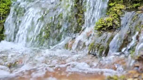 Close-up fluxo de cascata de movimento lento cercado por musgo verde e petrificado. Alto teor de minerais na água da montanha — Vídeo de Stock