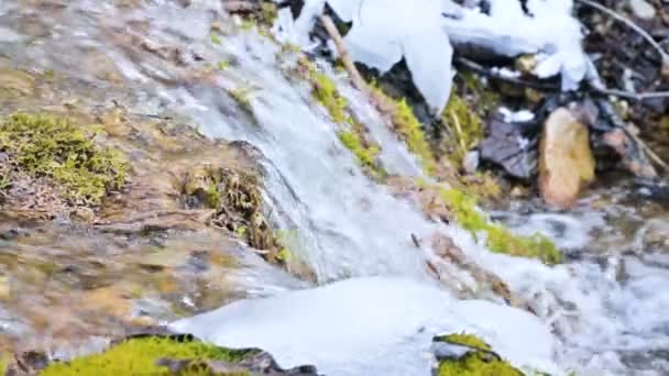Stream a cascata al rallentatore ravvicinato circondato da muschio verde e pietrificato. Alto contenuto di minerali nelle acque di montagna — Video Stock