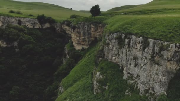 Luchtfoto van een klif in de gorge met een rivier doorheen stroomt. Landschap van de zomer in de bergen — Stockvideo