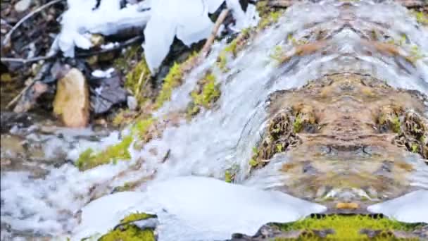 Αργή κίνηση κοντά στο ποτάμι του βουνού το χειμώνα δίπλα στο χιόνι και πράσινα βρύα. Καλειδοσκόπιο αποτέλεσμα ψυχεδελικό αντανάκλαση. Φυσική αφαιρετία καθαρού νερού — Αρχείο Βίντεο