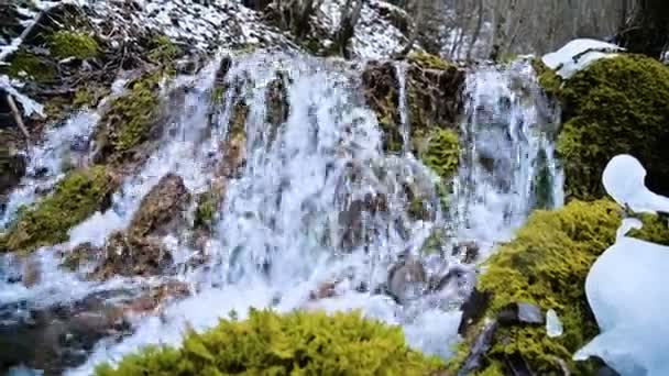 Close-up winter forest cascade stream surrounded by green and petrified moss. High mineral content in mountain water — Stock Video