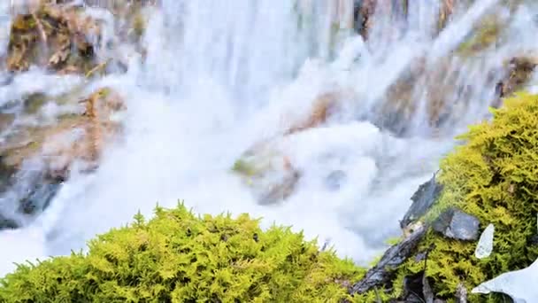 Nahaufnahme Winterwald Kaskadenbach, umgeben von grünem und versteinertem Moos. hoher Mineralstoffgehalt im Bergwasser — Stockvideo