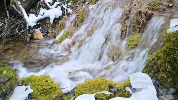 Gros plan Ruisseau d'hiver en cascade entouré de mousse verte et pétrifiée. Teneur élevée en minéraux dans l'eau de montagne — Video