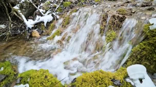 녹색 및 석 화 된 이끼로 둘러싸인 근접 겨울 숲 캐스케이드 스트림. 산 수의 높은 광물 함량 — 비디오
