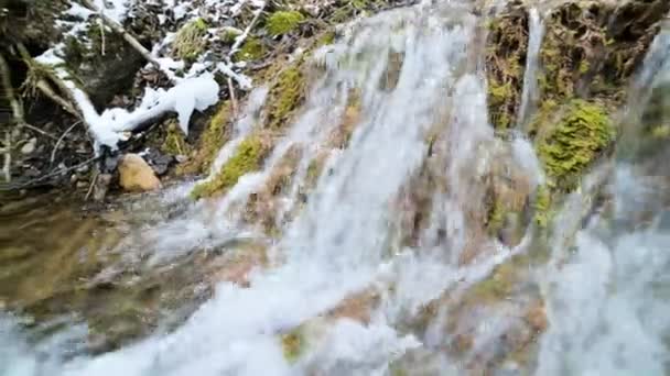 Nahaufnahme Winterwald Kaskadenbach, umgeben von grünem und versteinertem Moos. hoher Mineralstoffgehalt im Bergwasser — Stockvideo