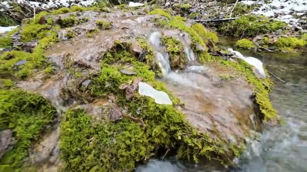 Fluxo de cascata de floresta de inverno cercado por musgo verde e petrificado. Alto teor de minerais na água da montanha — Vídeo de Stock