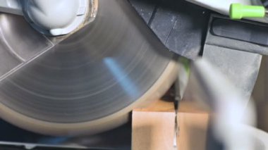 Büyük yakın çekim. Elektrikli daire testere makinesi ile ahşap tahta kesme bir marangoz. Toz parçacıklarının ve testere bıçağının yavaş hareketi