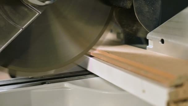 Stor närbild. En snickare som skär en trä skiva med en elektrisk cirkulär sågmaskin. Slow Motion av damm partiklar och sågblad — Stockvideo