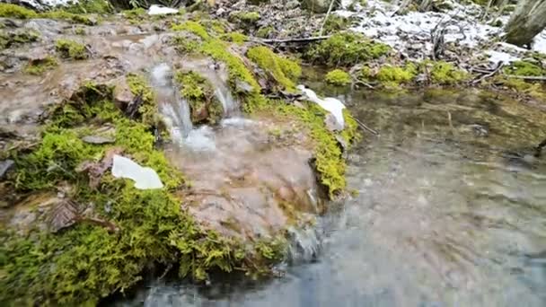 Blízká zimní lesní kaskáda obklopená zeleným a zkameněleným mechem. Vysoký obsah minerálních látek v horských vodách — Stock video