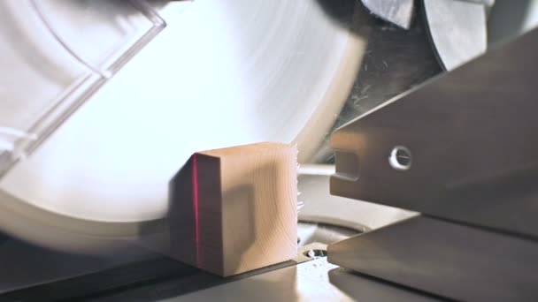 Close-up van een werk op een machine met een cirkelzaag. Snijden houten billet circulaire machine in slow motion — Stockvideo