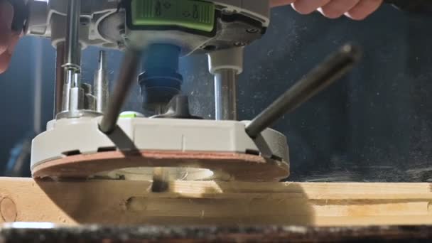 Un grande primo piano. Un falegname che taglia una tavola di legno con una sega elettrica. Movimento lento di particelle di polvere e lama di sega — Video Stock