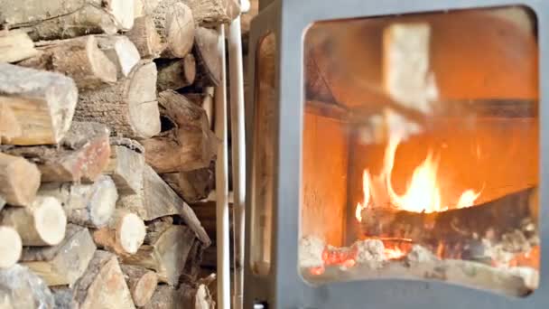 薪の大きな山の隣の日の間、耐火ガラスの後ろに自家製の近代的なストーブで薪を燃やすのクローズアップ。環境にやさしいエネルギー — ストック動画