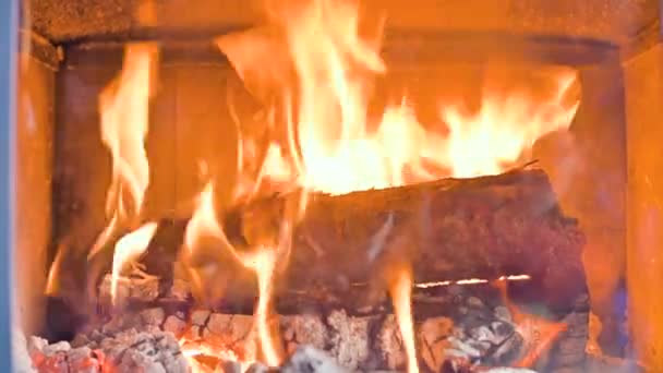 日中は耐火ガラスの後ろに自家製の近代的なストーブで薪を燃やすのクローズアップ。環境にやさしいエネルギー — ストック動画