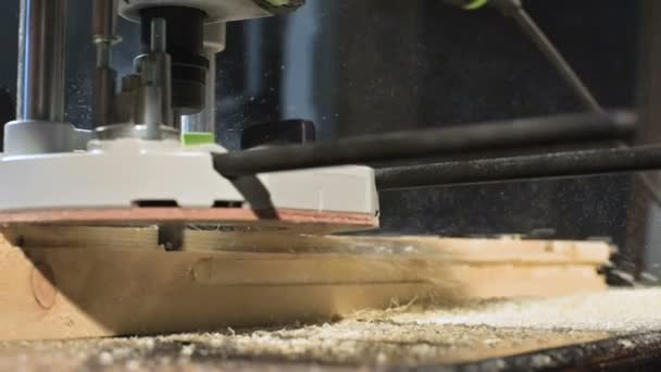 Grote close-up. Een timmerman snijden van een houten bord met een elektrische frezen zag. Slow Motion van stofdeeltjes en zaagblad — Stockvideo