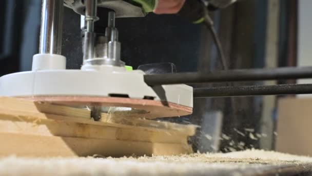 Stor närbild. En snickare som skär en trä skiva med en elektrisk frässåg. Slow Motion av damm partiklar och sågblad — Stockvideo