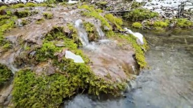 Yakın çekim kış ormanı çağlayan dere yeşil ve taşlaşmış yosun ile çevrilidir. Dağ suyunda yüksek mineral içeriği