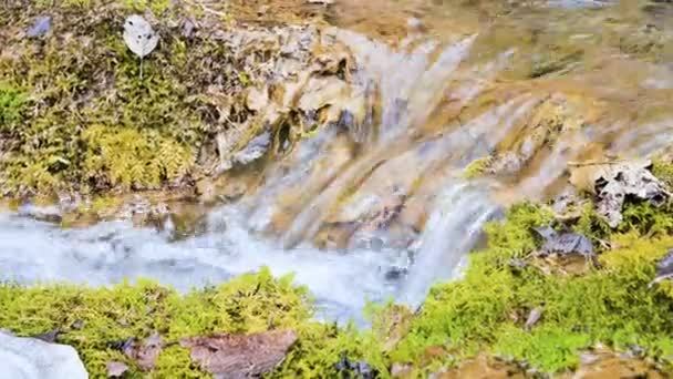 Close-up winter forest cascade stream surrounded by green and petrified moss. High mineral content in mountain water — Stock Video