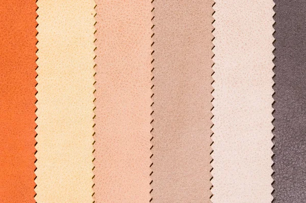 Kumaş mobilya Dekorasyon Tekstil dokuları satırlık örnekleri kümesi. Çok renkli çizgili döşeme. Modu ve lüks bir iç tarzı için sesi. Arka plan