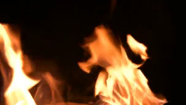 Camp fire close-up of flames of fire on a black background in complete darkness. Natural thermal energy of hydrocarbon combustion — Stock Video